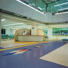 供应浙江pvc塑胶地板江苏PVC地板
